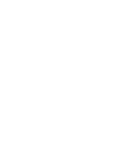 ceste logo