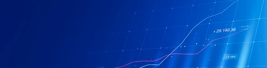 monitorizacion gastos empresa con notion