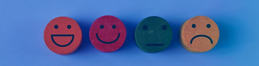 gestión de reviews con Notion